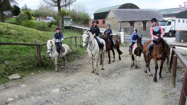 Fitzgeralds Equestrian Centre (1)